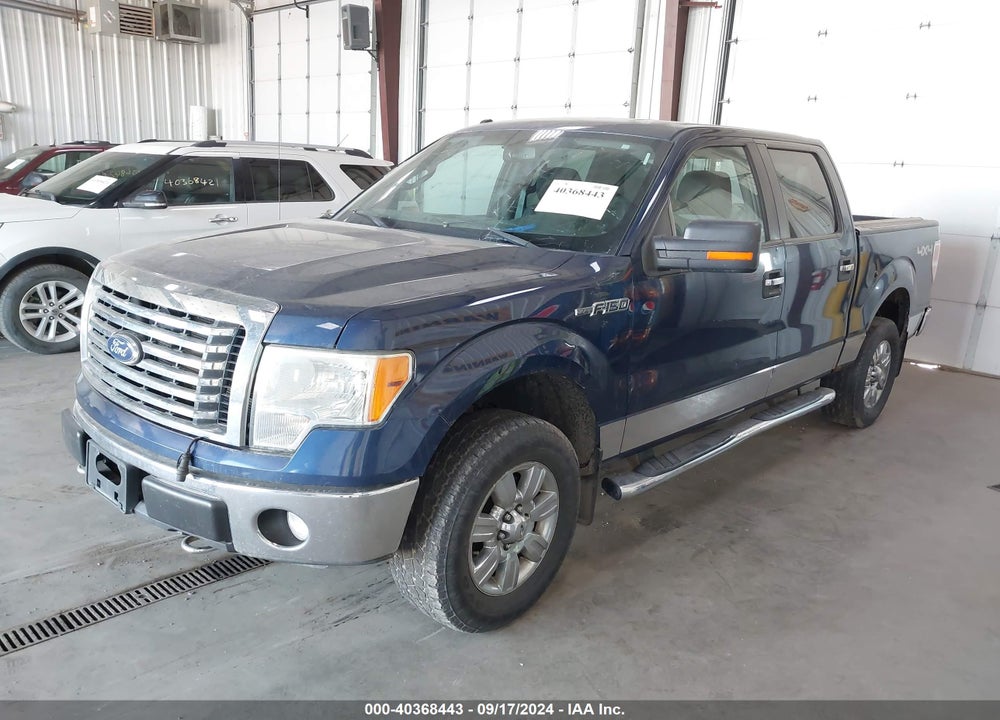 2011 FORD F-150 XLT VIN: 1FTFW1EF2BFB61848