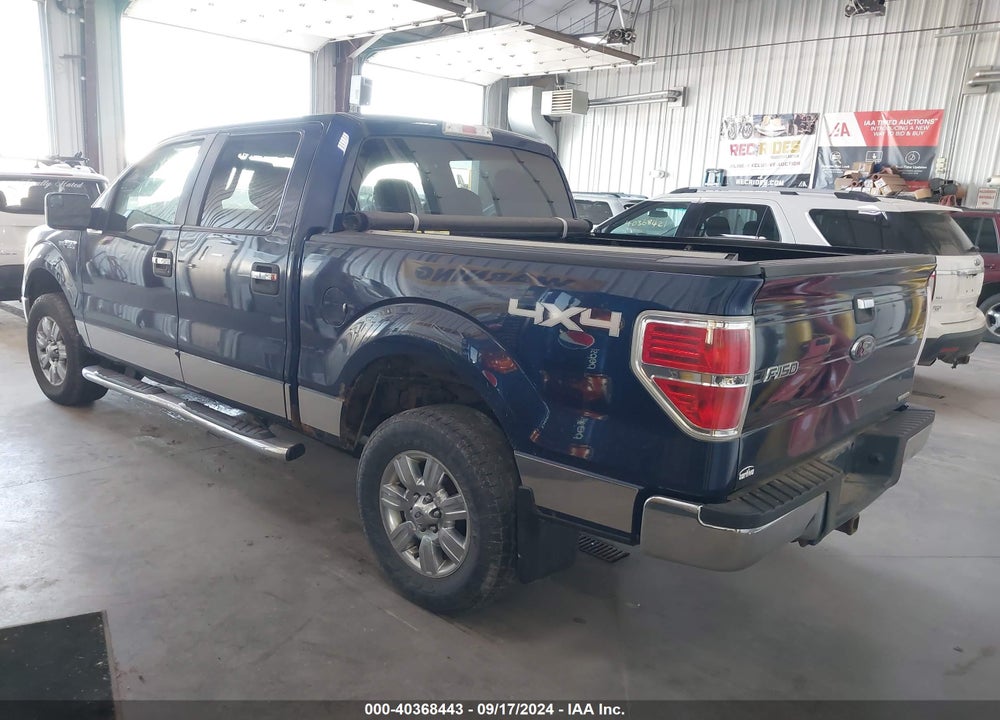 2011 FORD F-150 XLT VIN: 1FTFW1EF2BFB61848
