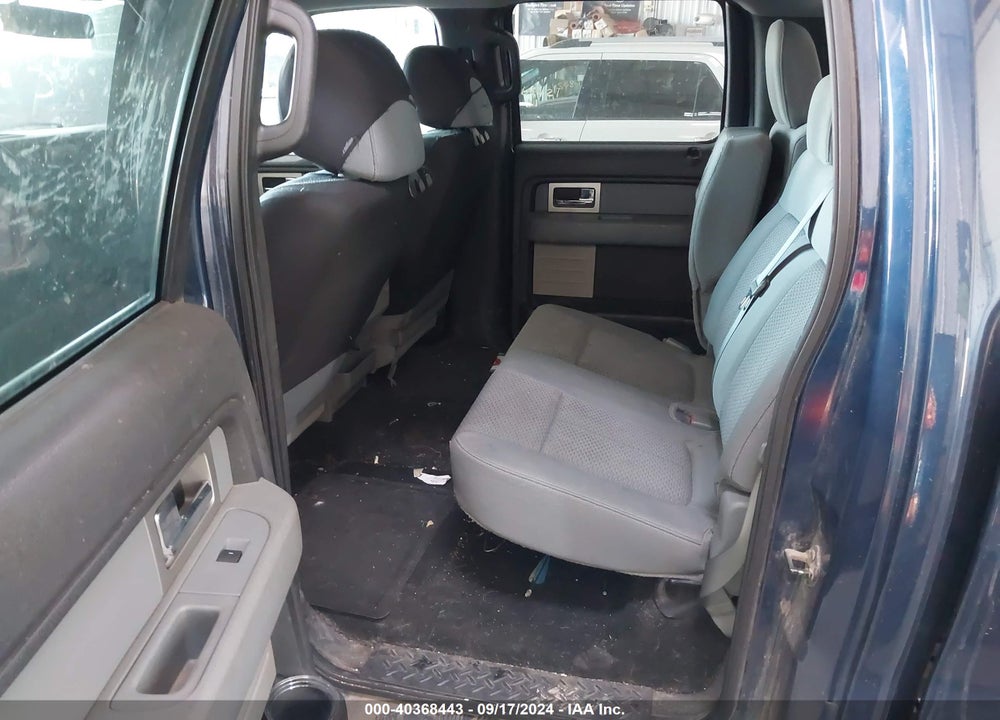 2011 FORD F-150 XLT VIN: 1FTFW1EF2BFB61848