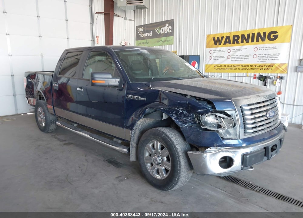 2011 FORD F-150 XLT VIN: 1FTFW1EF2BFB61848