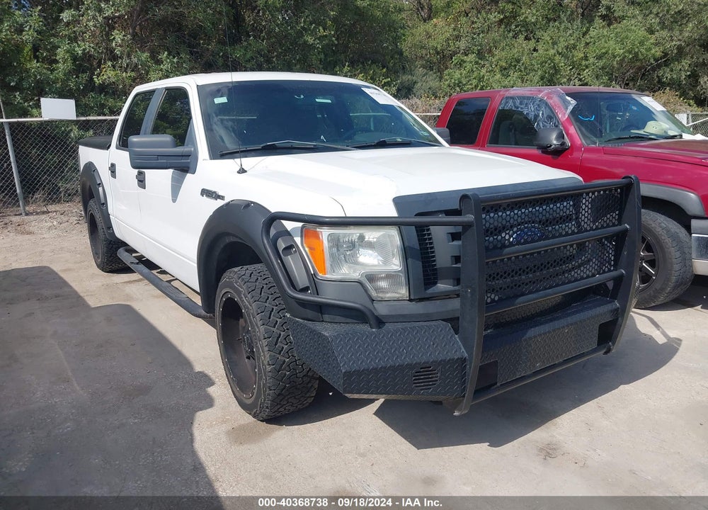 2009 FORD F-150 XL/XLT VIN: 1FTRW12W29FA78335