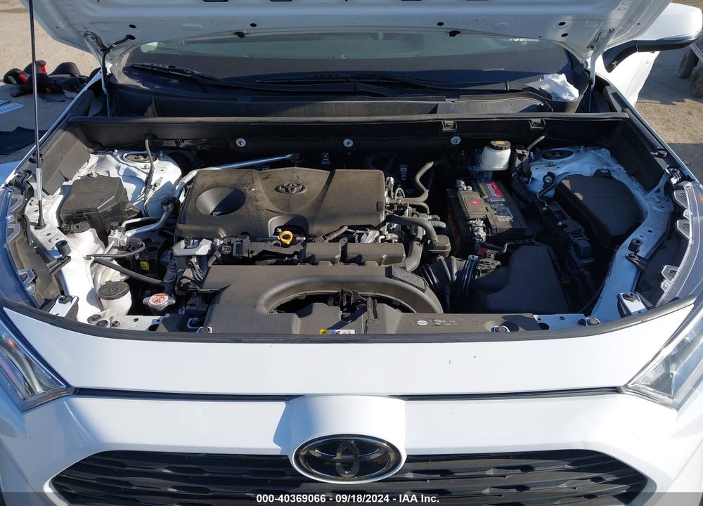 2019 TOYOTA RAV4 XLE VIN: 2T3W1RFV7KW029802