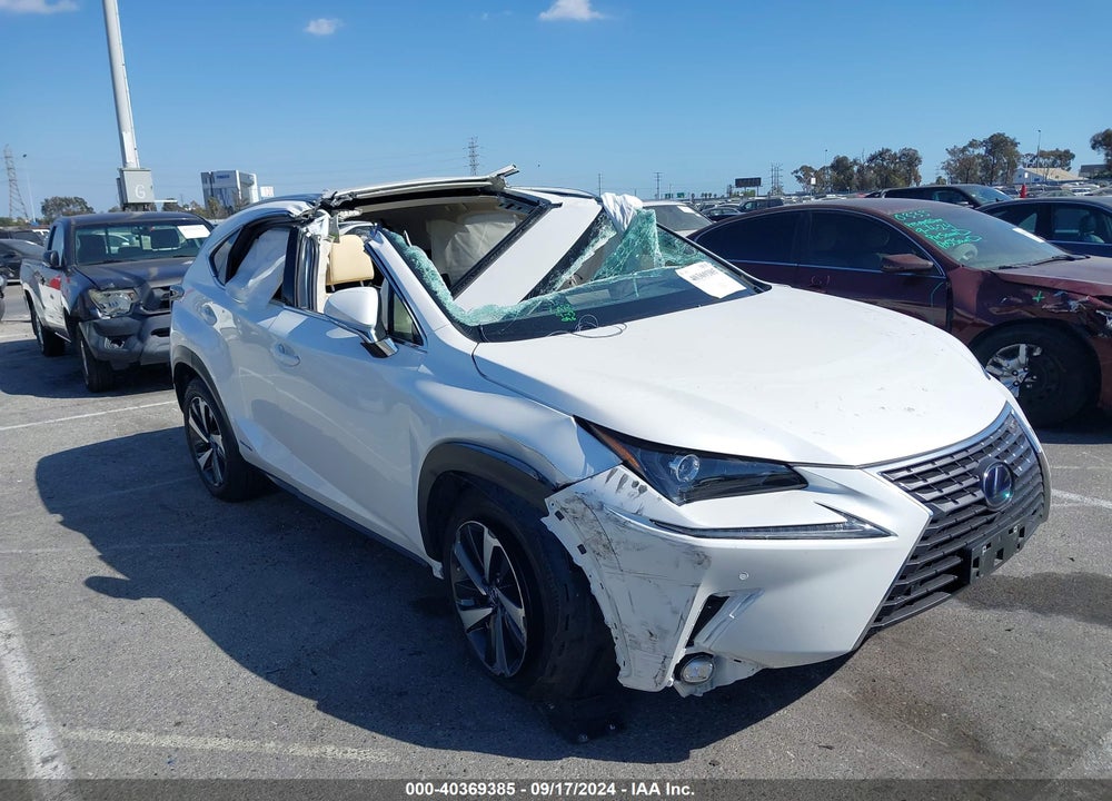 2021 LEXUS NX 300H VIN: JTJGJRDZXM2168437