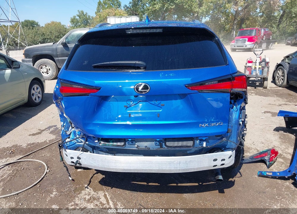2020 LEXUS NX 300 VIN: JTJDARDZ9L2223655