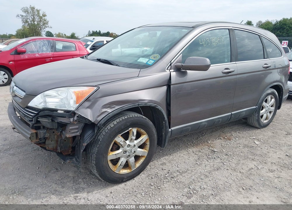2009 HONDA CR-V EX-L VIN: 5J6RE48789L013943