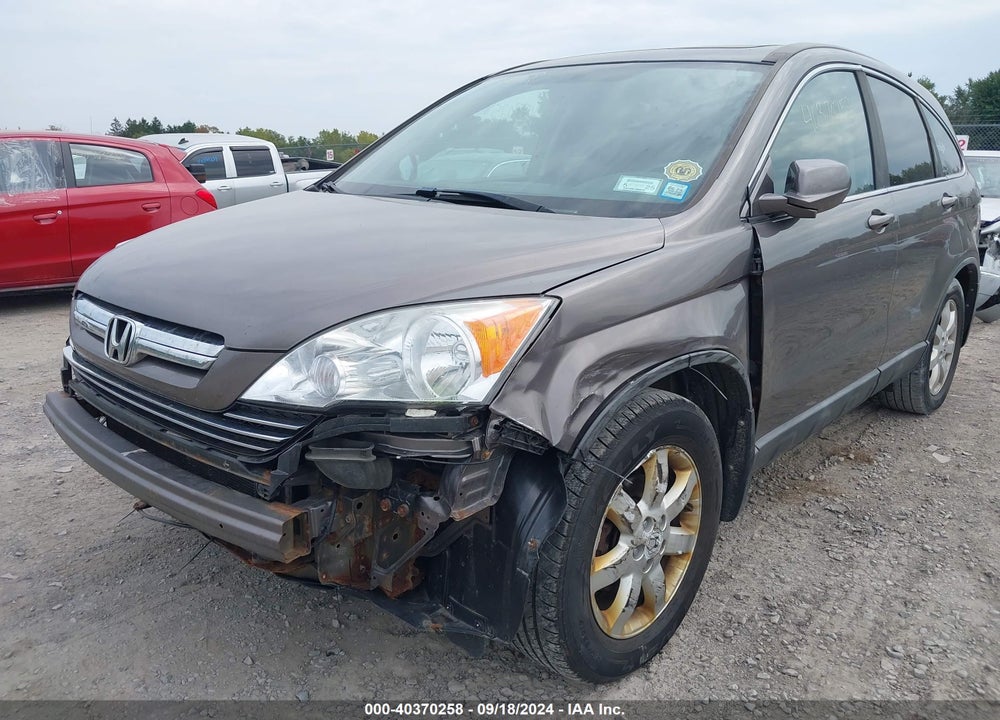 2009 HONDA CR-V EX-L VIN: 5J6RE48789L013943