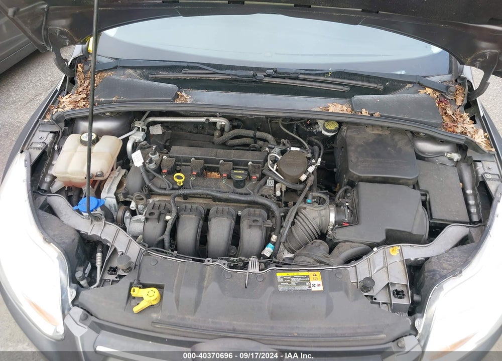 2013 FORD FOCUS SE VIN: 1FADP3F22DL177604