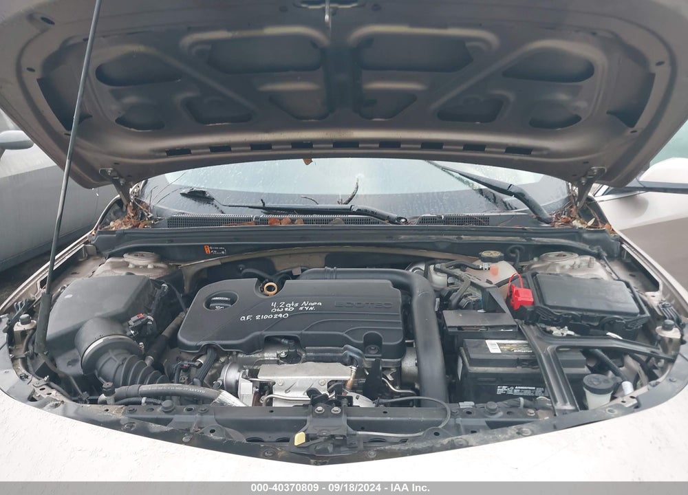 2019 CHEVROLET MALIBU LT VIN: 1G1ZD5ST8KF174617