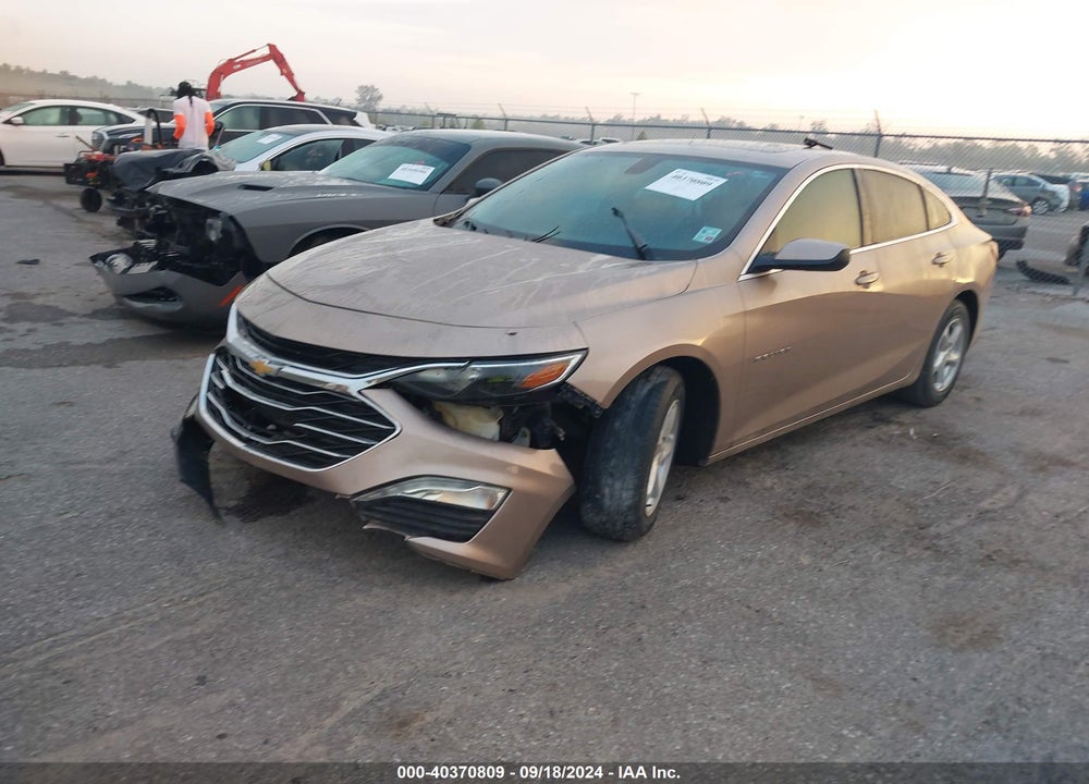 2019 CHEVROLET MALIBU LT VIN: 1G1ZD5ST8KF174617