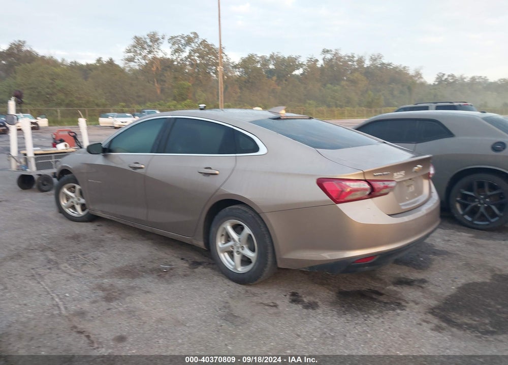 2019 CHEVROLET MALIBU LT VIN: 1G1ZD5ST8KF174617