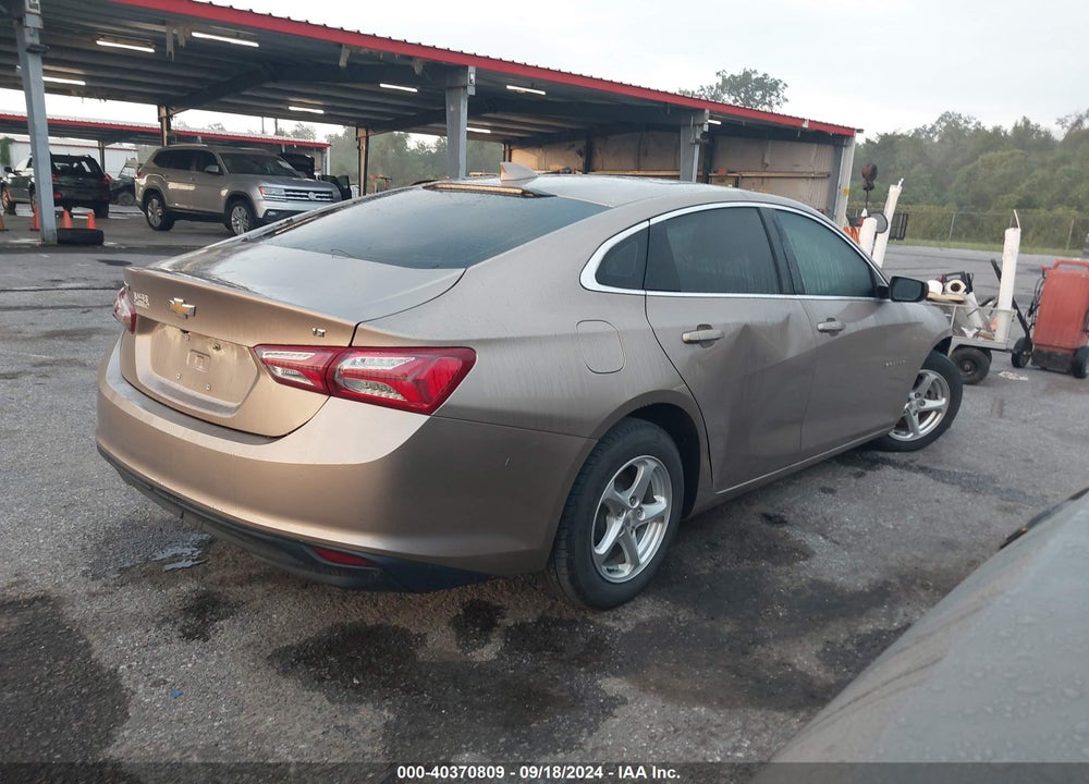 2019 CHEVROLET MALIBU LT VIN: 1G1ZD5ST8KF174617