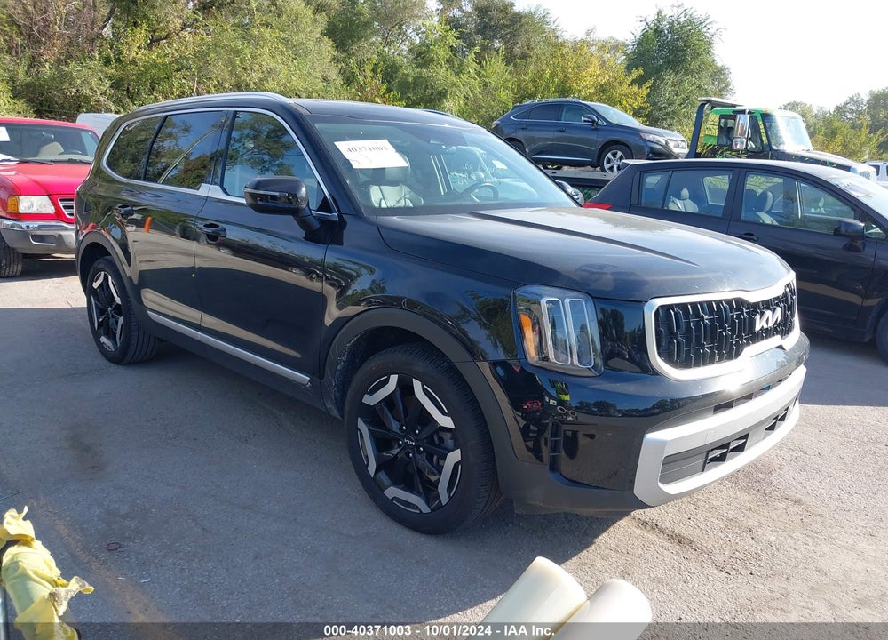 2024 KIA TELLURIDE EX VIN: 5XYP34GC9RG441761