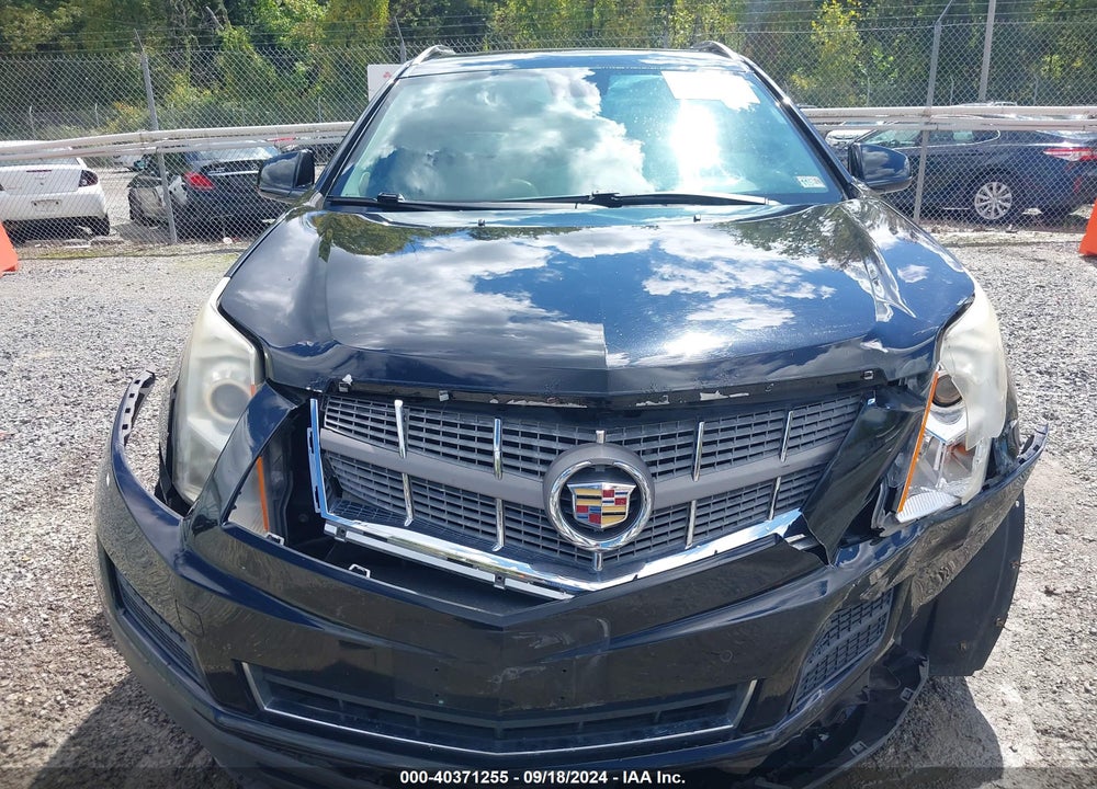 2010 CADILLAC SRX LUXURY COLLECTION VIN: 3GYFNDEY0AS574880