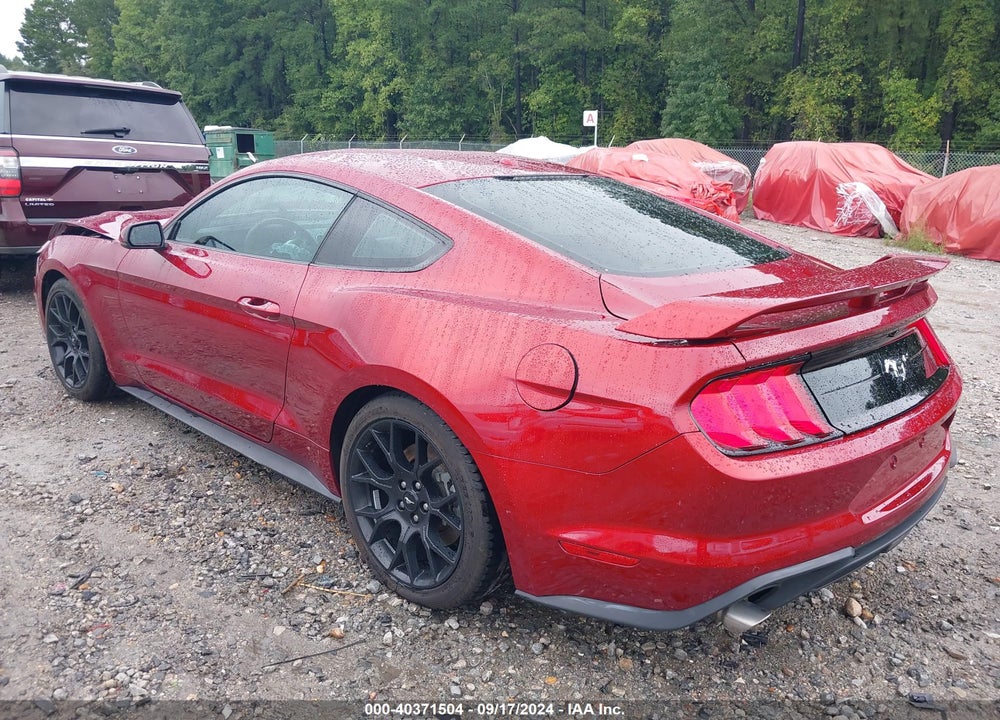 2019 FORD MUSTANG ECOBOOST PREMIUM VIN: 1FA6P8TH3K5154087