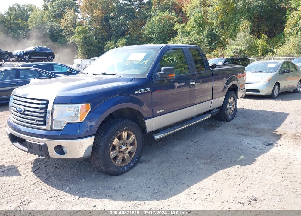 2011 FORD F-150 XLT VIN: 1FTFX1ET3BFC24846