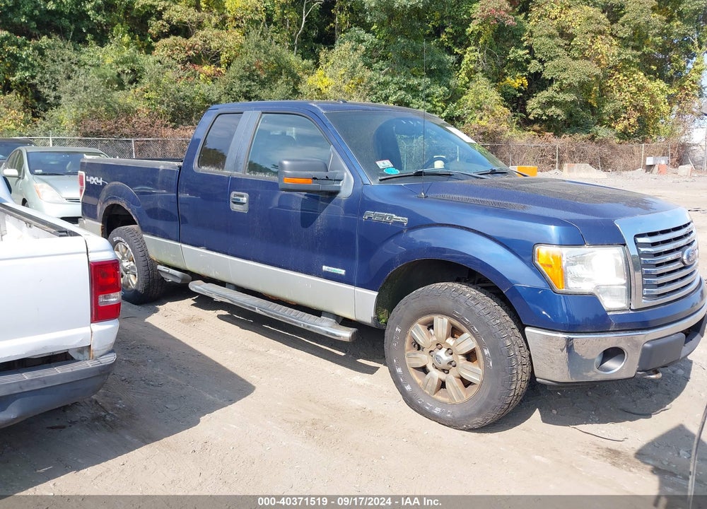 2011 FORD F-150 XLT VIN: 1FTFX1ET3BFC24846