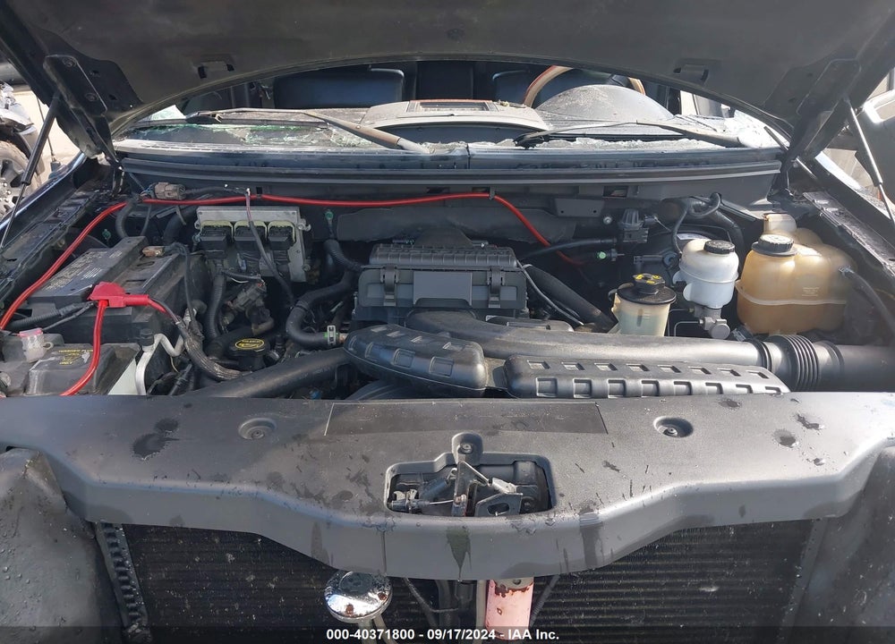 2005 FORD F-150 LARIAT/XLT VIN: 1FTPW12595FB52990