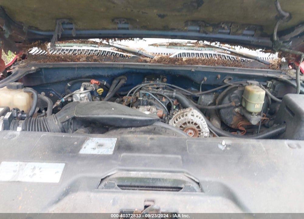 2002 CHEVROLET SILVERADO 1500 LS VIN: 1GCEK19T22E231409