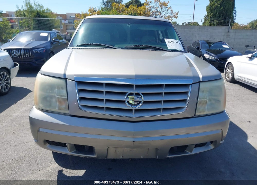 2003 CADILLAC ESCALADE STANDARD VIN: 1GYEC63TX3R231911