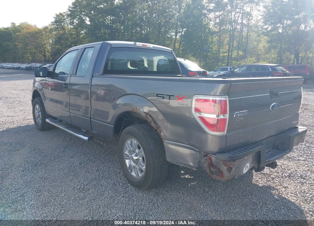 2013 FORD F-150 STX VIN: 1FTFX1EF5DFB94584