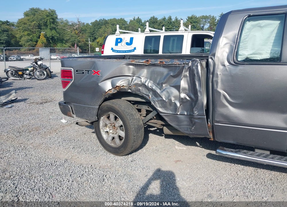 2013 FORD F-150 STX VIN: 1FTFX1EF5DFB94584