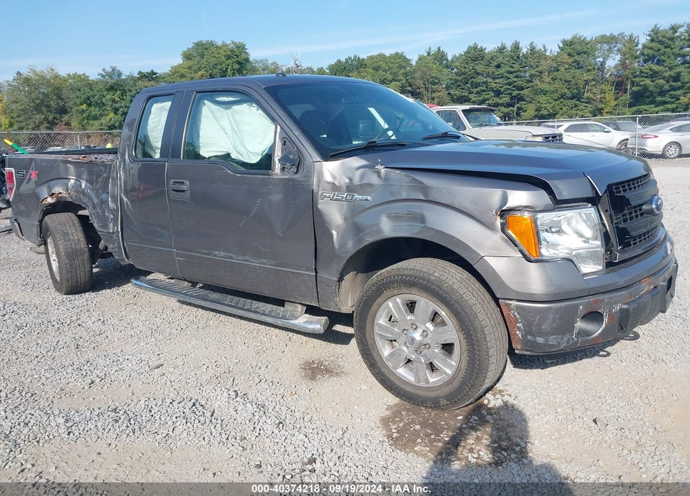 2013 FORD F-150 STX VIN: 1FTFX1EF5DFB94584