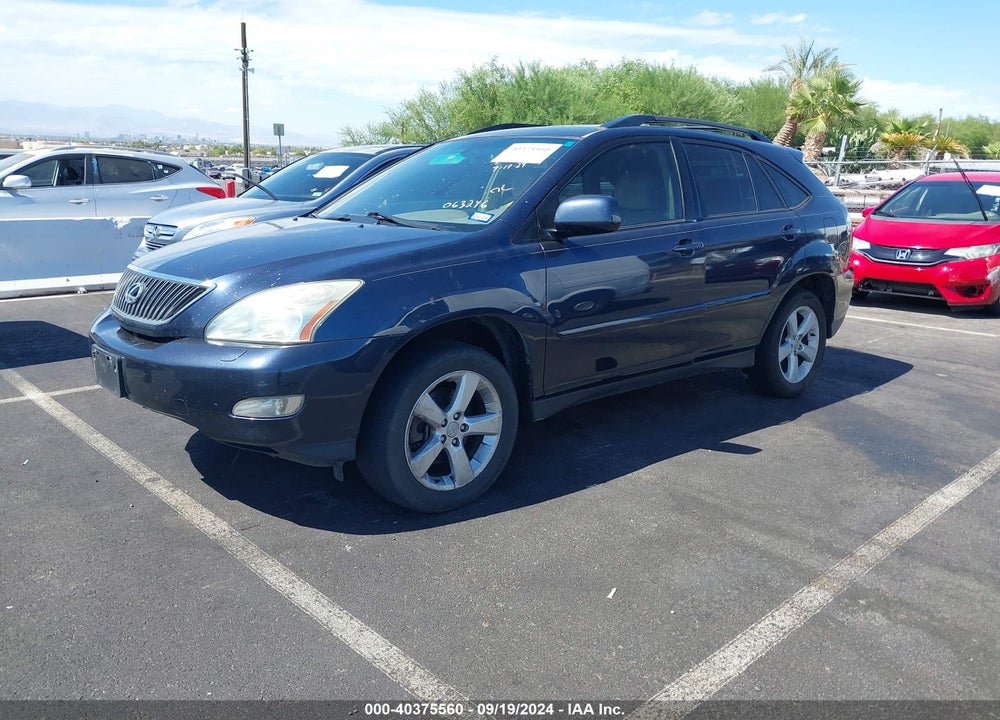 2006 LEXUS RX 330 VIN: JTJGA31U960063246