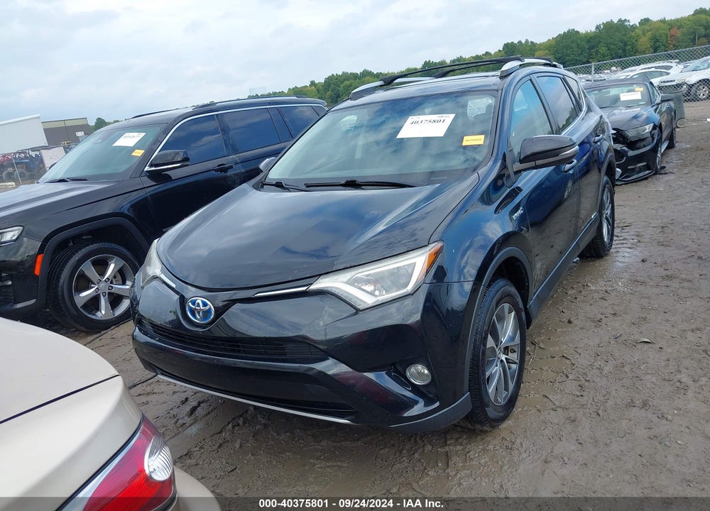 2016 TOYOTA RAV4 HYBRID XLE VIN: JTMRJREV3GD039231