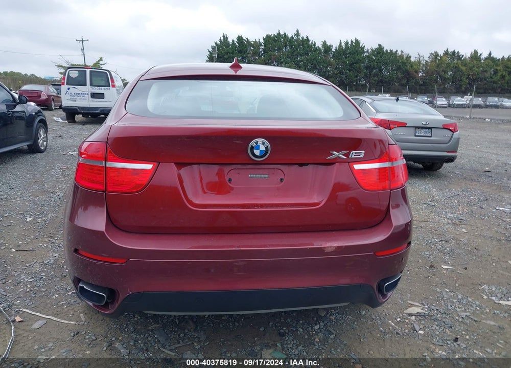 2009 BMW X6 XDRIVE50I VIN: 5UXFG83559LZ93968