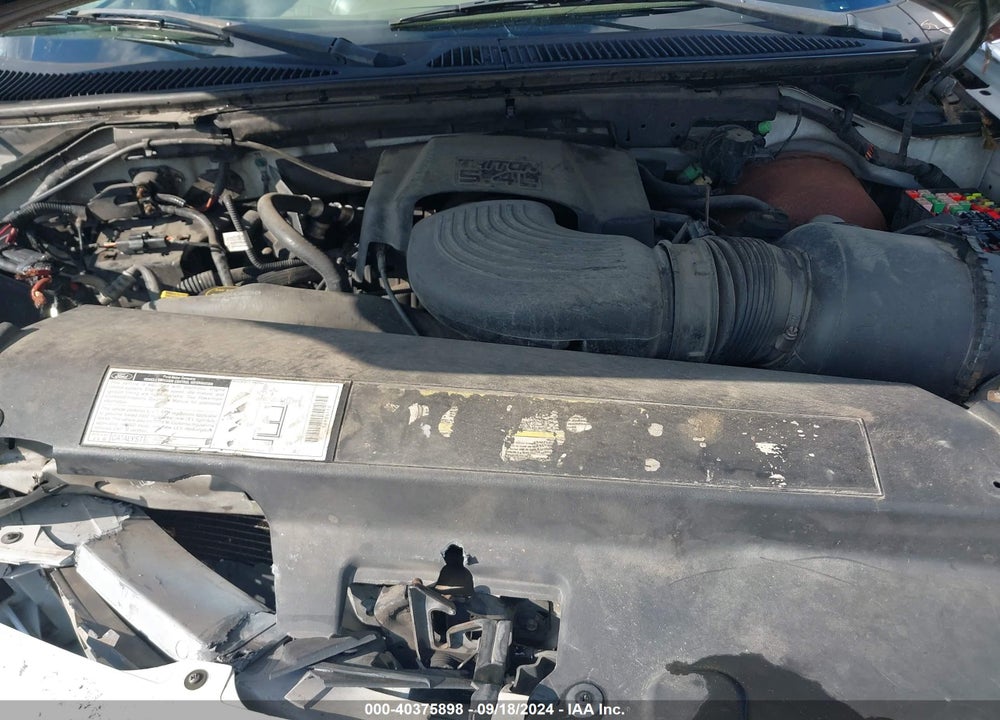 2002 FORD EXPEDITION EDDIE BAUER VIN: 1FMEU17L62LA13610