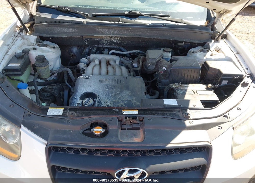 2009 HYUNDAI SANTA FE GLS VIN: 5NMSG13D49H312683