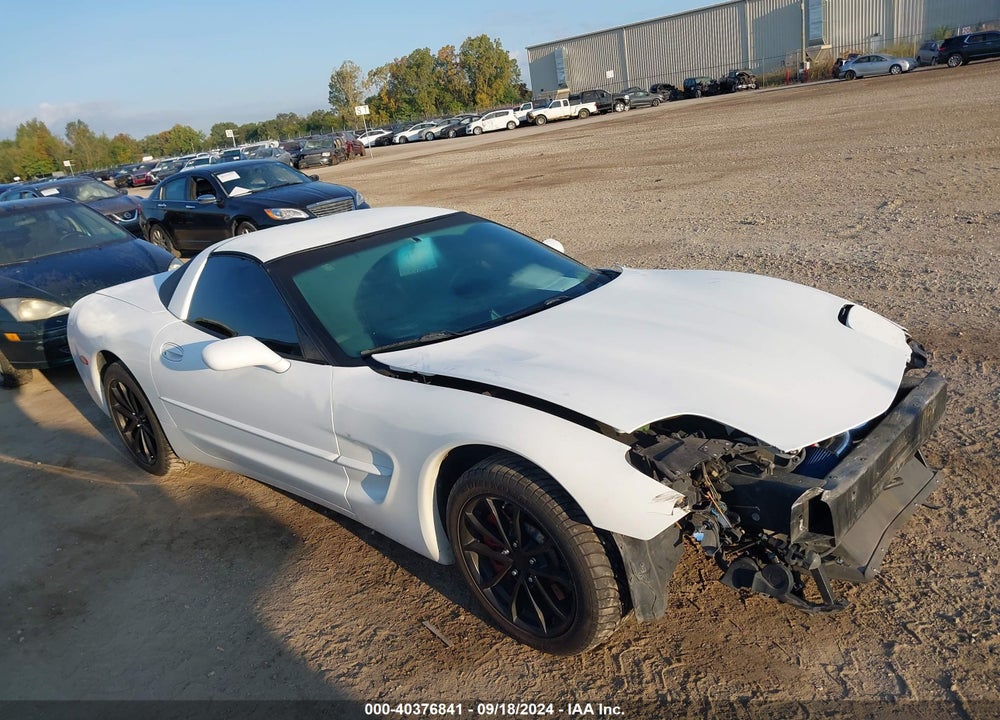 1999 CHEVROLET CORVETTE VIN: 1G1YY22G4X5127132