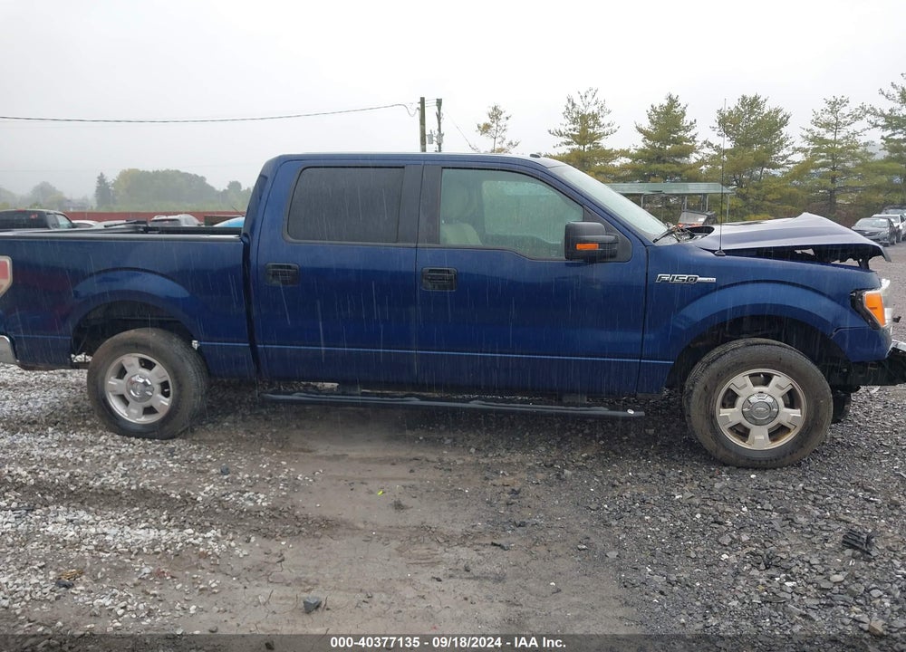 2012 FORD F-150 XLT VIN: 1FTFW1CF1CKD99895