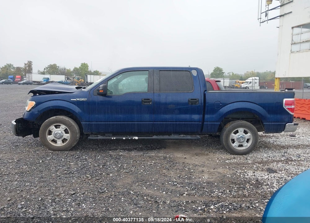 2012 FORD F-150 XLT VIN: 1FTFW1CF1CKD99895