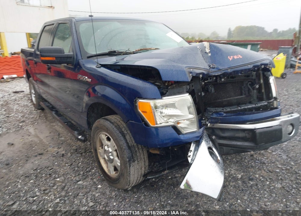 2012 FORD F-150 XLT VIN: 1FTFW1CF1CKD99895
