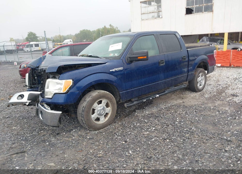 2012 FORD F-150 XLT VIN: 1FTFW1CF1CKD99895