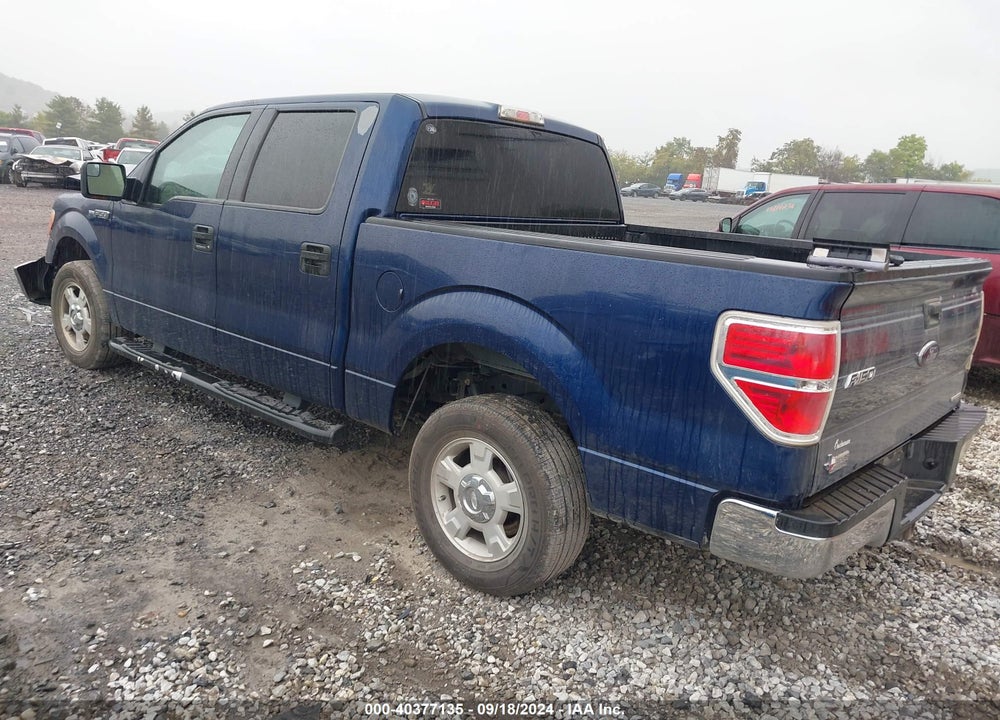 2012 FORD F-150 XLT VIN: 1FTFW1CF1CKD99895