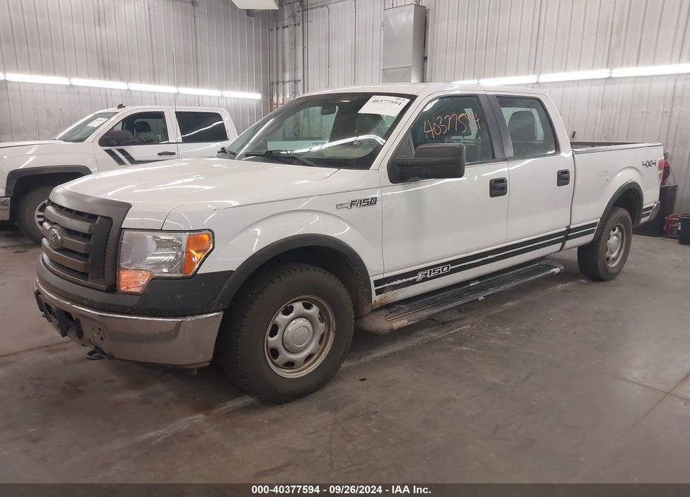 2011 FORD F-150 XL VIN: 1FTFW1EF8BFC49027