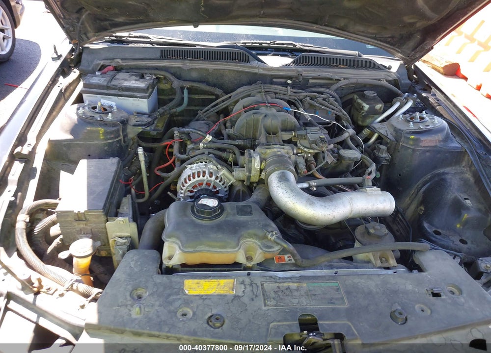 2005 FORD MUSTANG V6 DELUXE/V6 PREMIUM VIN: 1ZVFT80N555179249