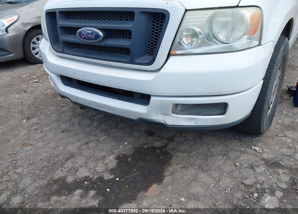 2005 FORD F-150 STX/XL/XLT VIN: 1FTRX12W15FA70797