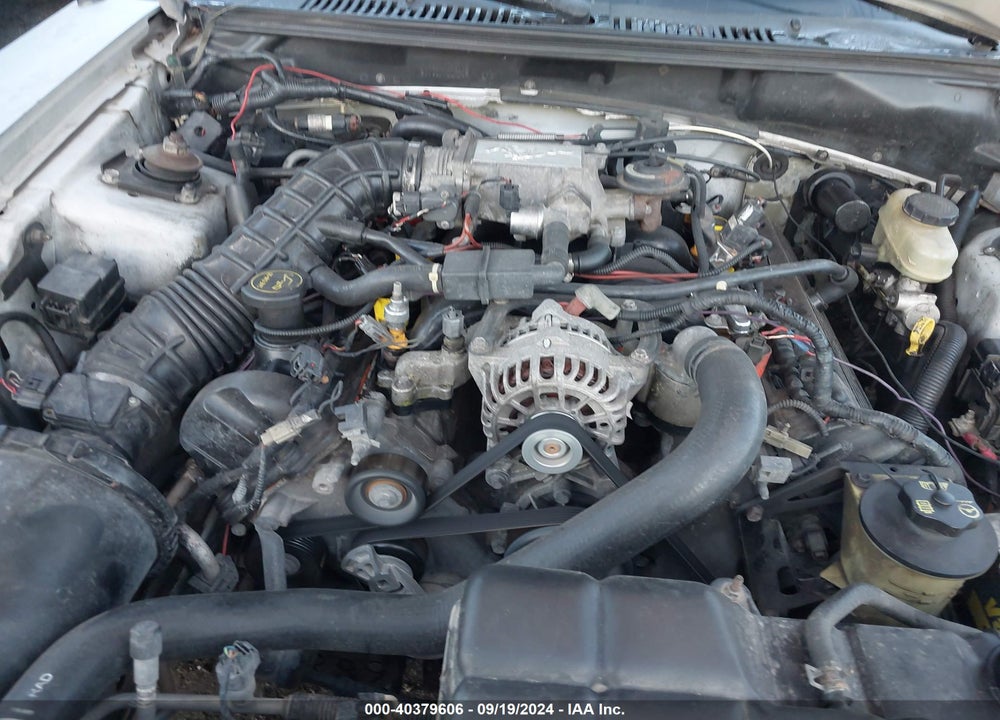2004 FORD MUSTANG GT VIN: 1FAFP45X44F105698