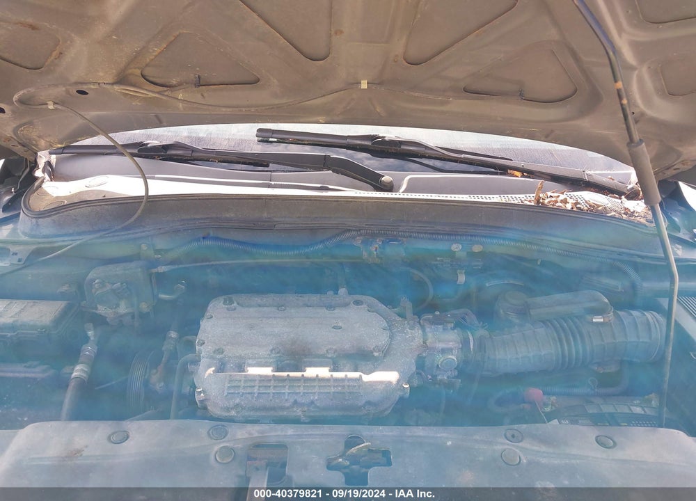 2007 HONDA PILOT EX-L VIN: 5FNYF18557B020991