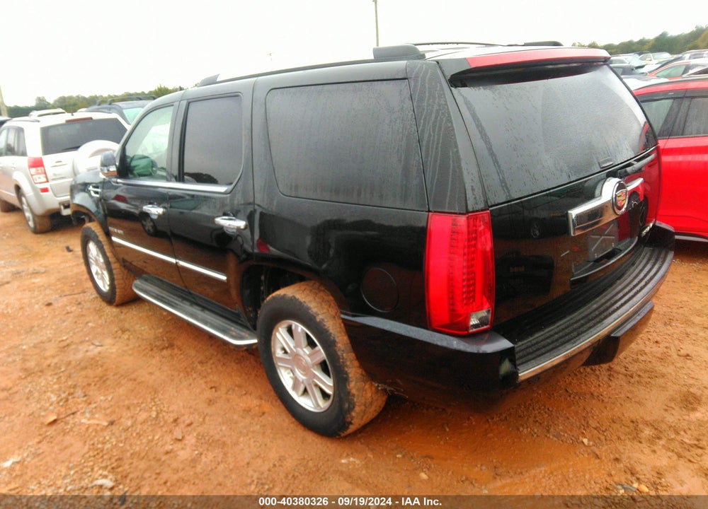 2013 CADILLAC ESCALADE STANDARD VIN: 1GYS4AEF6DR113737