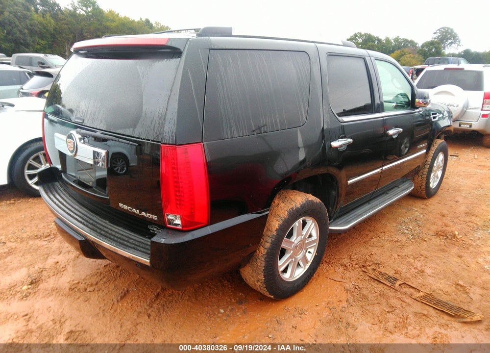 2013 CADILLAC ESCALADE STANDARD VIN: 1GYS4AEF6DR113737