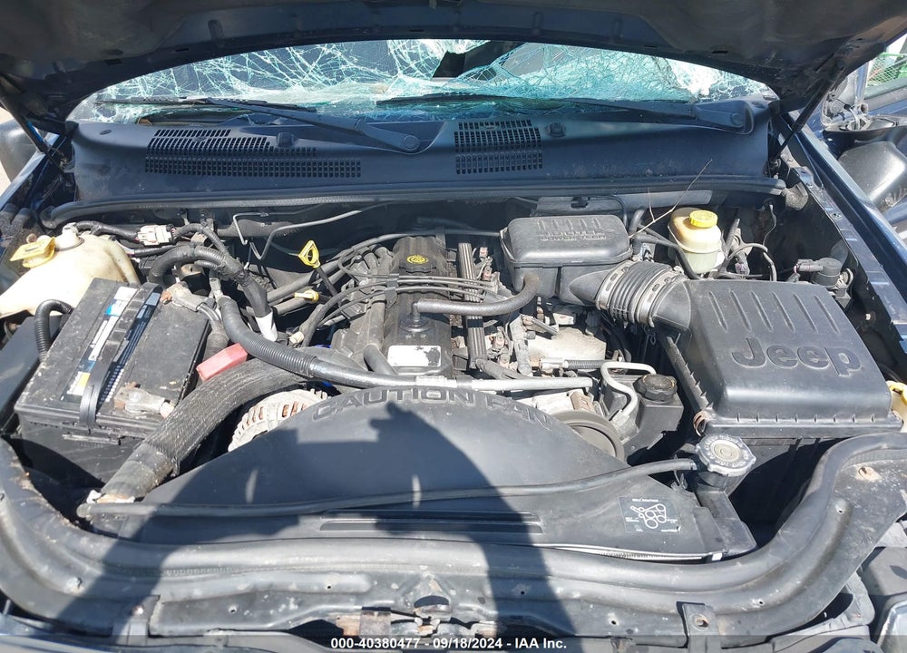 2002 JEEP GRAND CHEROKEE LAREDO VIN: 1J4GW48S52C265745