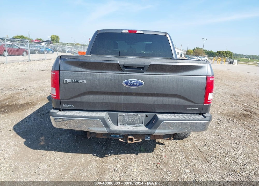 2015 FORD F-150 XLT VIN: 1FTEW1EF9FFB13779
