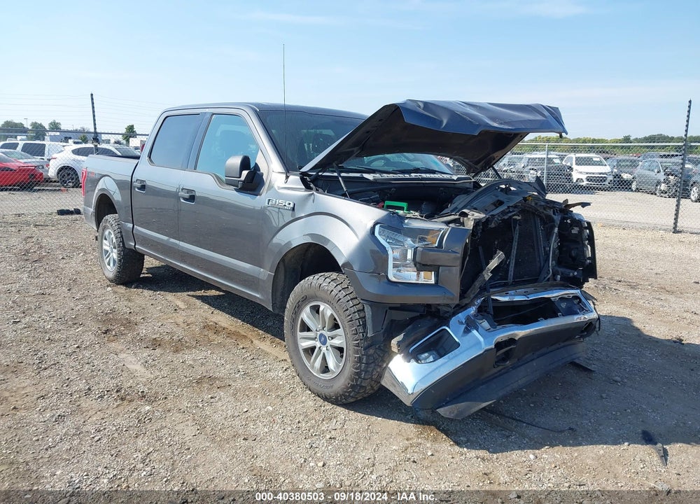 2015 FORD F-150 XLT VIN: 1FTEW1EF9FFB13779
