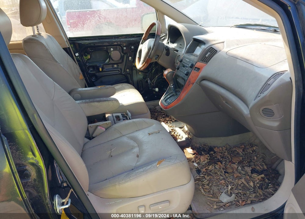 2002 LEXUS RX 300 VIN: JTJHF10U320291104