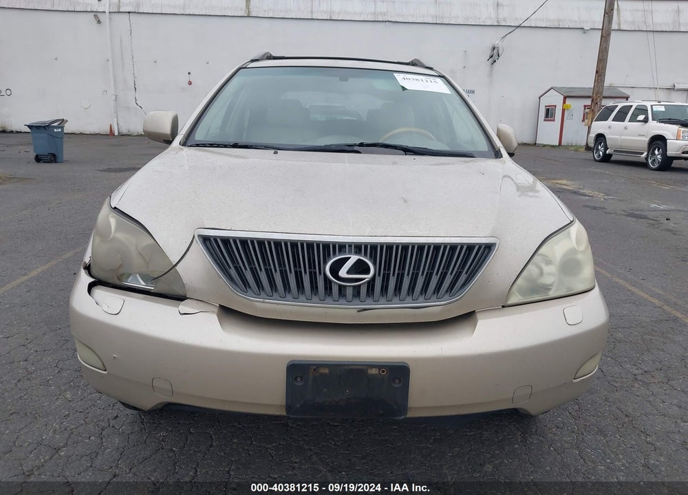 2006 LEXUS RX 330 VIN: JTJGA31U160064195
