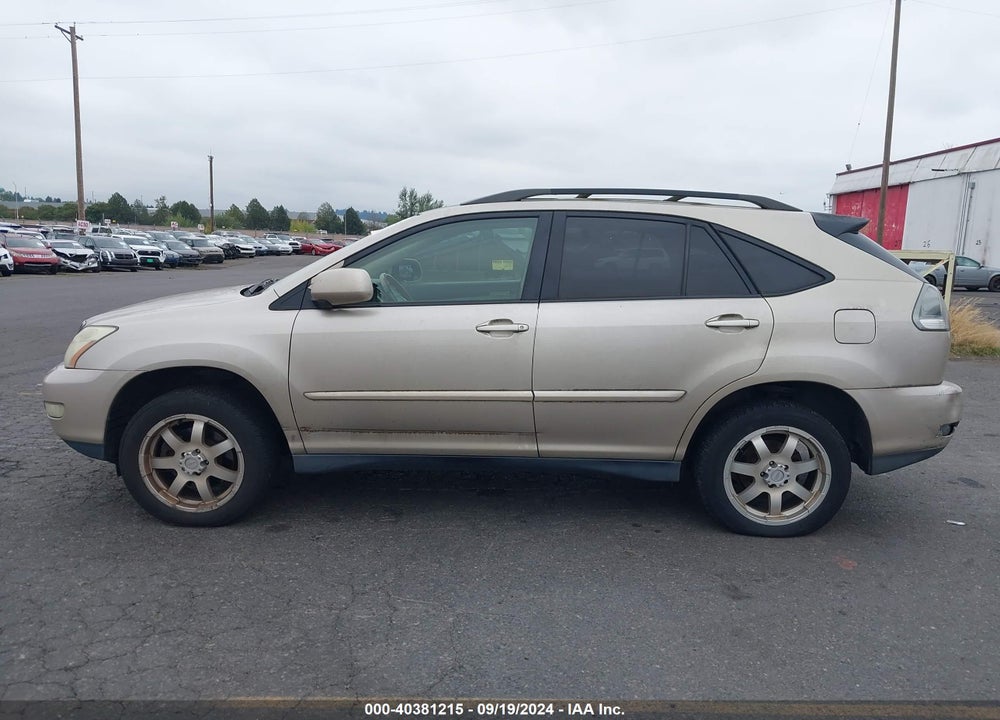 2006 LEXUS RX 330 VIN: JTJGA31U160064195
